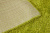 Ковер мягкий, пушистый с длинным ворсом Фризе Шегги sh/06 2,5*3,5 (8,75 м2)