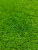 Искусственная трава Шри Ланка 20 мм 1,5*2,5 (3,75 м2) резка